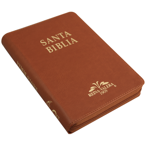 Biblia RV1909 mediana cafe cierre índice VR055ZTI - Image 4