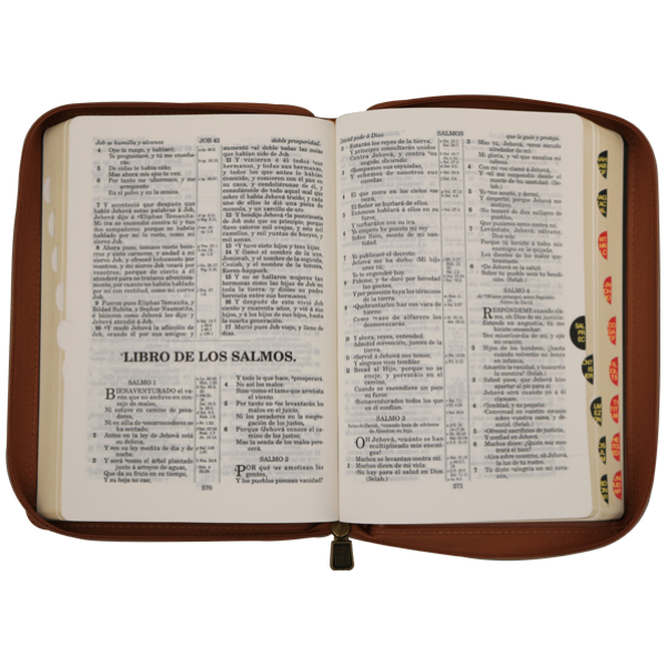 Biblia RV1909 mediana cafe cierre índice VR055ZTI - Image 2
