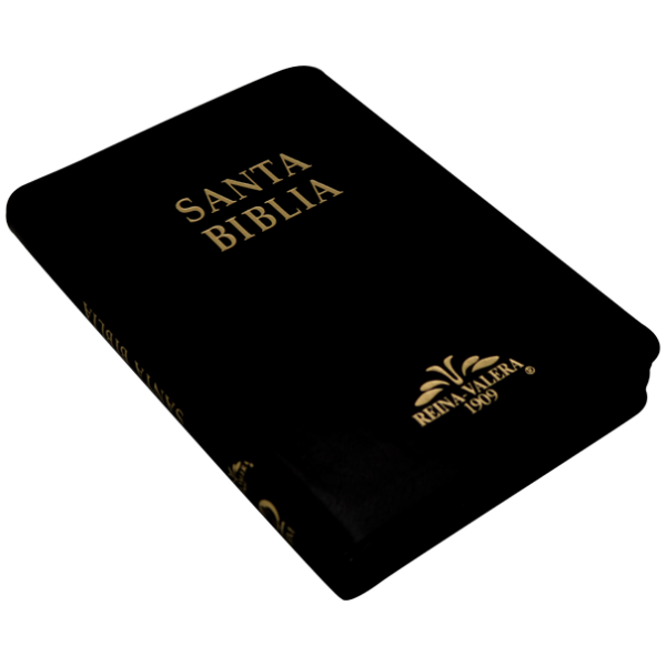 Biblia RV1909 mediana negro cierre índice VR055ZTI - Image 4