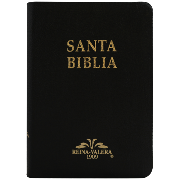 Biblia RV1909 mediana negro índice VR055TI - Image 3