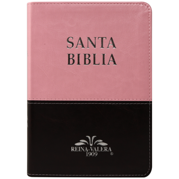 Biblia RV1909 mediana rosa café índice VR055TI - Image 3