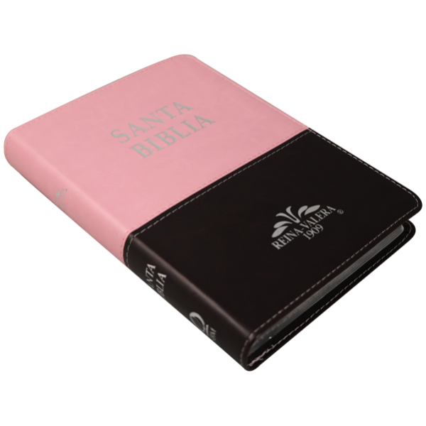 Biblia RV1909 mediana rosa café índice VR055TI - Image 4