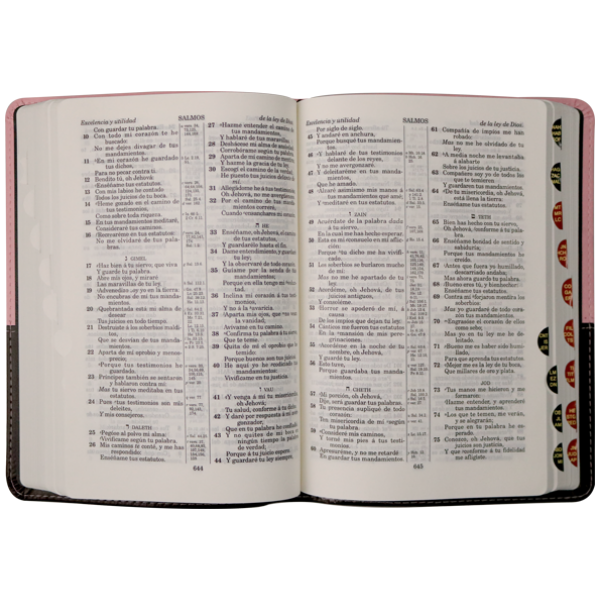 Biblia RV1909 mediana rosa café índice VR055TI - Image 2