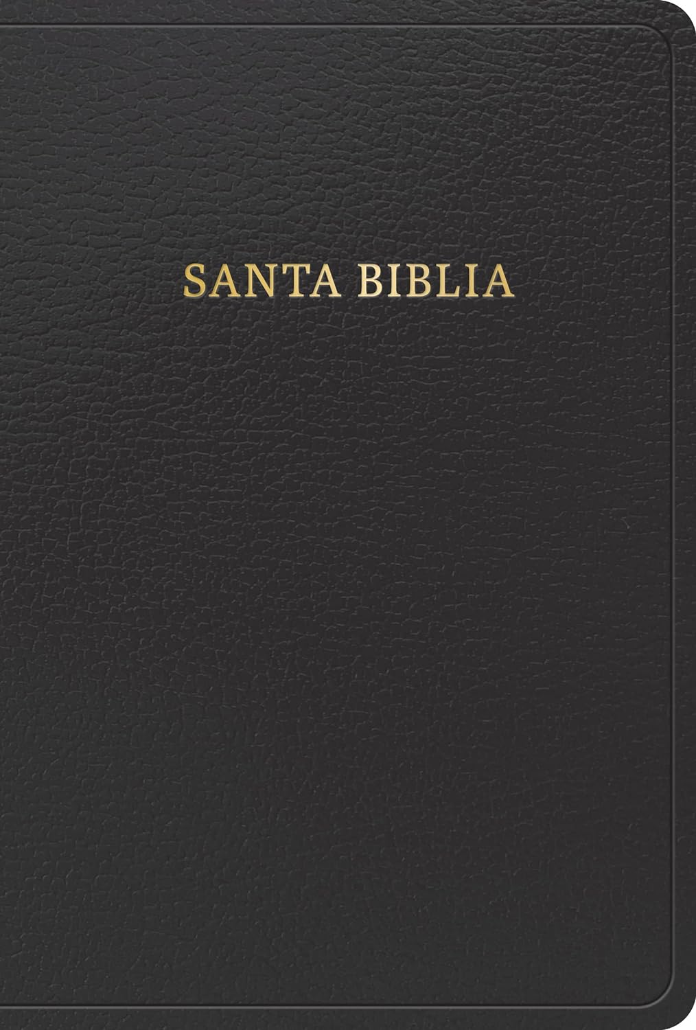 Biblia RVR1960 Manual Negro Imitación Piel 12pt