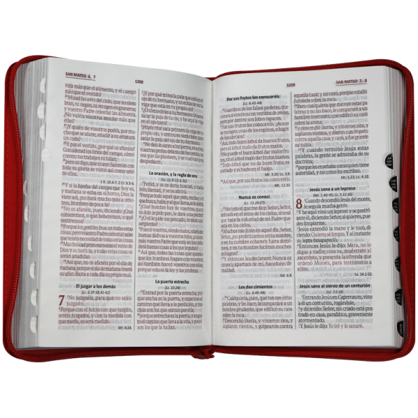 Biblia RVR1960 Mediana Letra Grande Imitación Piel Rojo Hojitas QR RVR056cZTILG PJR - Image 2