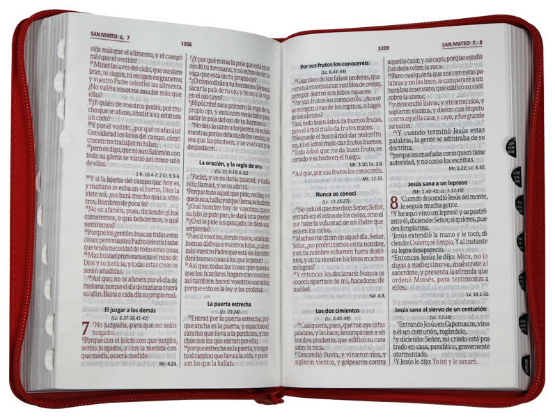 Biblia RVR1960 Mediana Letra Grande Imitación Piel Rojo Hojitas QR RVR056cZTILG PJR - Image 2