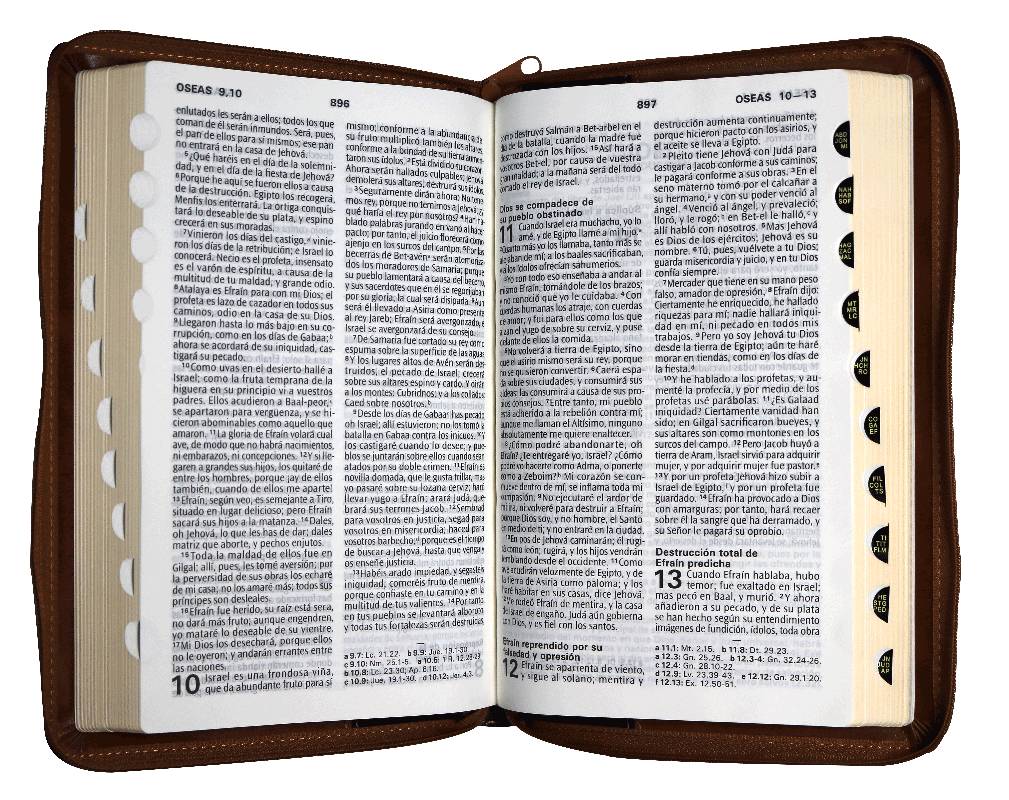 Biblia RVR1960 Mediana Letra Grande Imitación Piel Marrón/Negro 11pt - Image 2