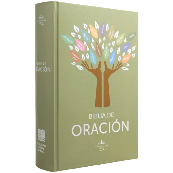 Biblia RVR1960 De Estudio De Oración Grande Tapa Dura Crema 12pt