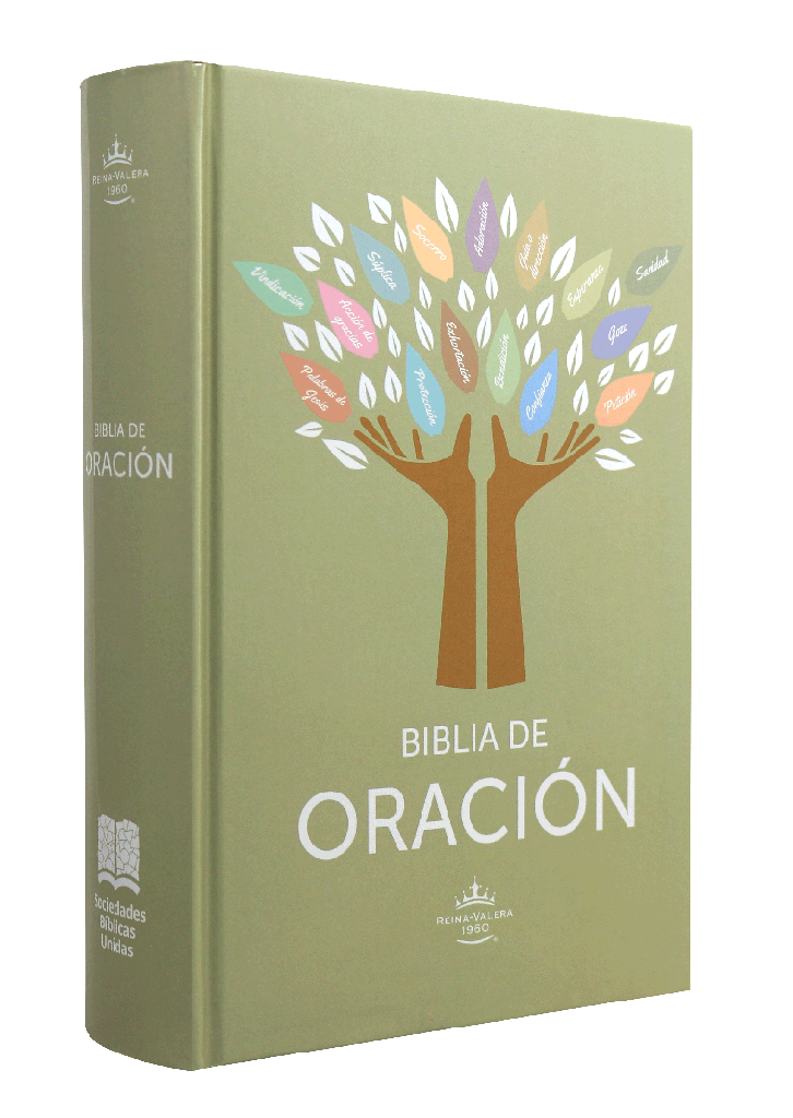 Biblia RVR1960 De Estudio De Oración Grande Tapa Dura Crema 12pt