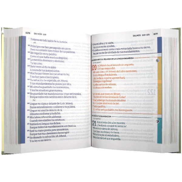 Biblia RVR1960 De Estudio De Oración Grande Tapa Dura Crema 12pt - Image 2
