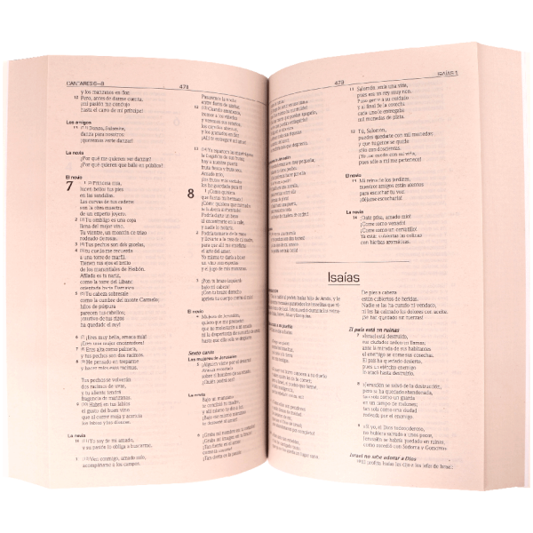 Biblia TLA Misionera Mediana Letra Chica Rústica Lápices - Image 2