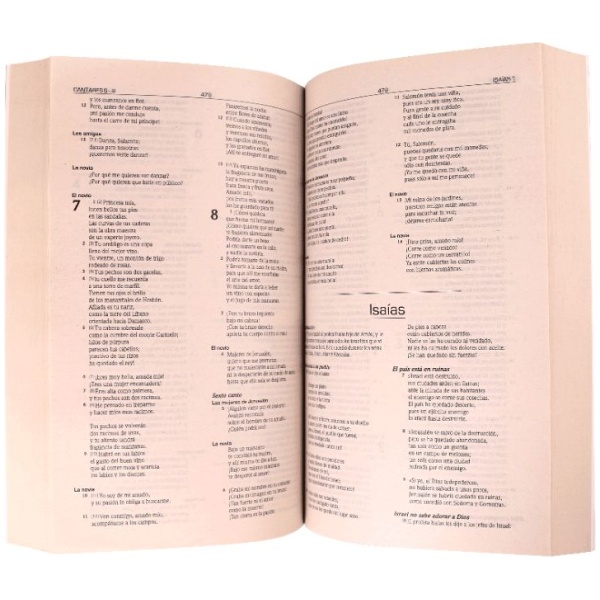 Biblia TLA Misionera Mediana Letra Chica Rústica Papiro - Image 2