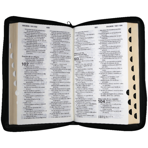 Biblia RVR1960 Mediana Letra Grande Imitación Piel Negro Cierre Índice - Image 2