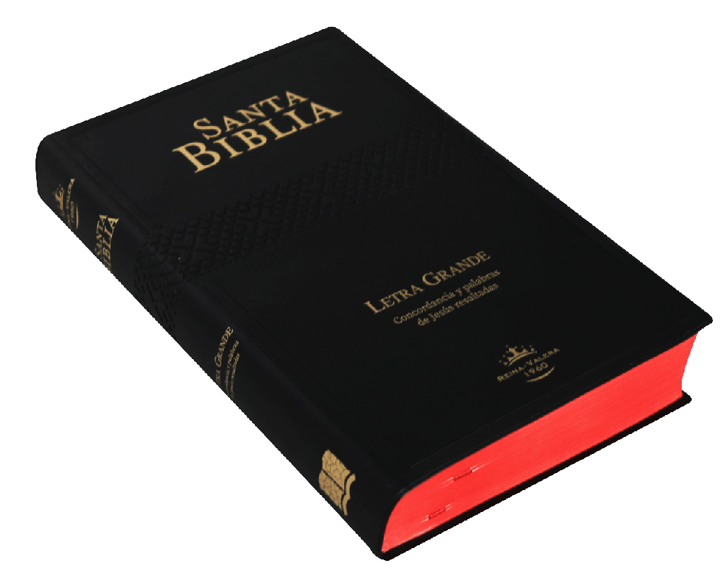 Biblia RVR1960 Mediana Letra Grande Vinil Negro 12pt RVR062cPJR - Image 2