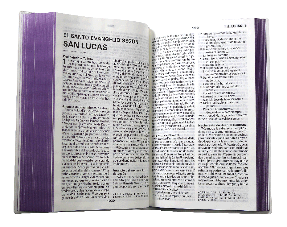 Biblia RVR1960 Mediana Letra Grande Vinil Morado 12pt RVR062cPJR