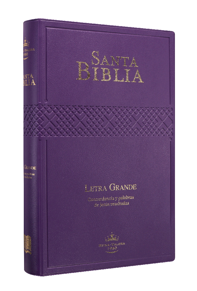 Biblia RVR1960 Mediana Letra Grande Vinil Morado 12pt RVR062cPJR