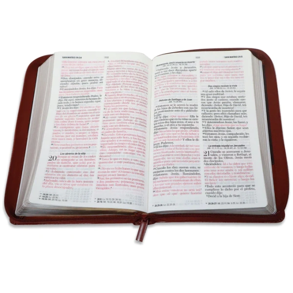 Biblia RVR1960 Clásica bitono marrón cierre manual 12.5P 065PJR vs - Image 4