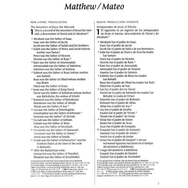 Nuevo Testamento NLT-NTV con Salmos y Proverbios bilingüe - Image 2