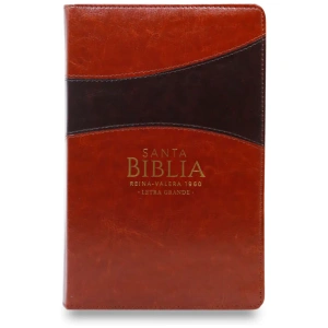 Biblia RVR1960 Clásica bitono marrón cierre manual 12.5P 065PJR vs