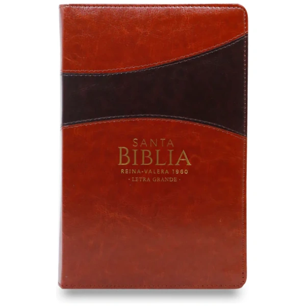 Biblia RVR1960 Clásica bitono marrón cierre manual 12.5P 065PJR vs