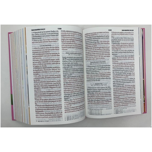 Biblia RVR1960 Mi gran viaje tapa dura rosa chica 10pt - Image 4