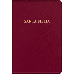 Biblia RVR1960 Letra gigante vino 2023 imitación piel