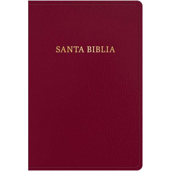 Biblia RVR1960 Letra gigante vino 2023 imitación piel