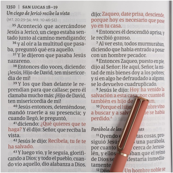 Biblia RVR1960 Letra gigante floreada 2023 simil piel - Image 5