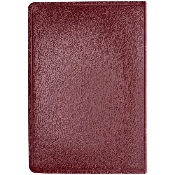 Biblia RVR1960 Letra gigante vino 2023 imitación piel - Image 2