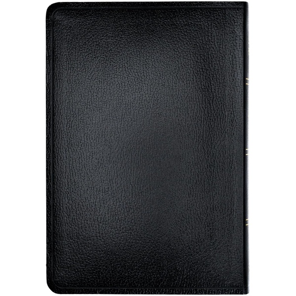 Biblia RVR1960 Letra gigante negro 2023  imitación piel - Image 2