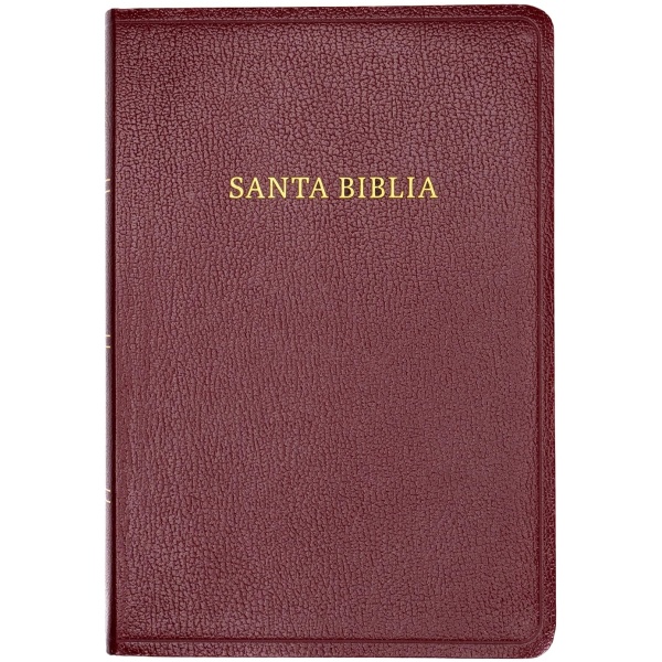 Biblia RVR1960 Letra gigante vino 2023 imitación piel - Image 5