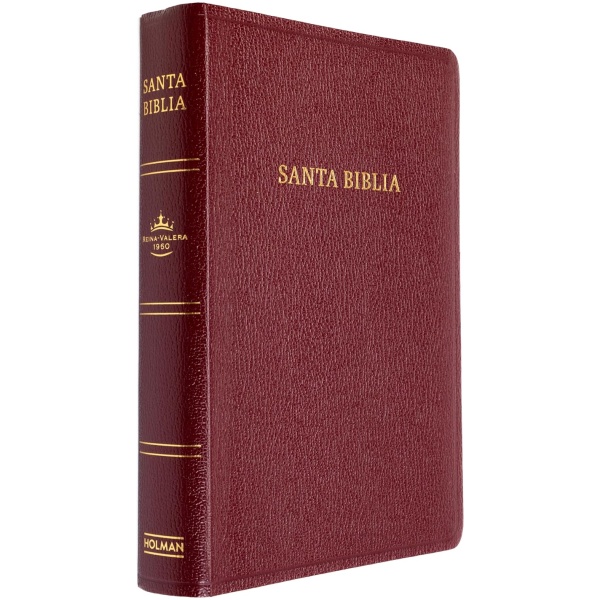 Biblia RVR1960 Letra gigante vino 2023 imitación piel - Image 3