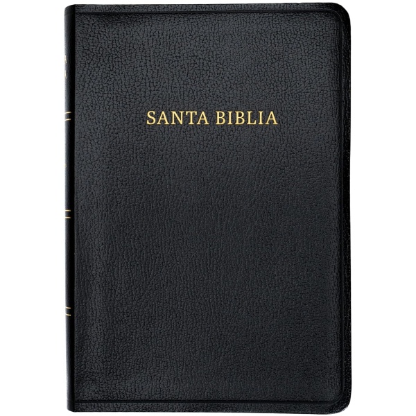 Biblia RVR1960 Letra gigante negro 2023  imitación piel