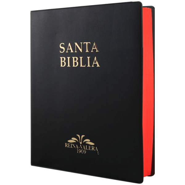 Biblia RV1909 grande negro VR082LM