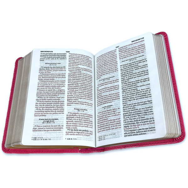 Biblia RVR1960 Clasica fucsia im piel bolsillo 8.5pt 025c PJR - Image 2
