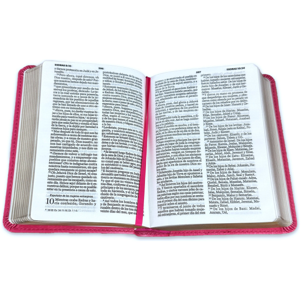 Biblia RVR1960 Clasica fucsia im piel bolsillo 8.5pt 025c PJR - Image 3