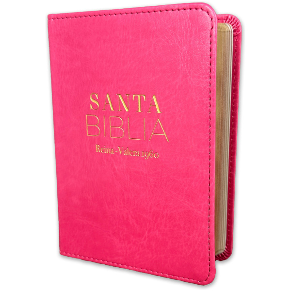 Biblia RVR1960 Clasica fucsia im piel bolsillo 8.5pt 025c PJR
