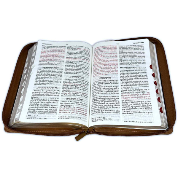 Biblia RVR1960 Excelencia café rect IP cierre índice manual 12.5P 065PJR vs - Image 2