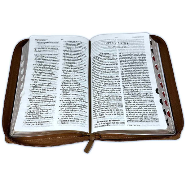 Biblia RVR1960 Excelencia café rect IP cierre índice manual 12.5P 065PJR vs - Image 4