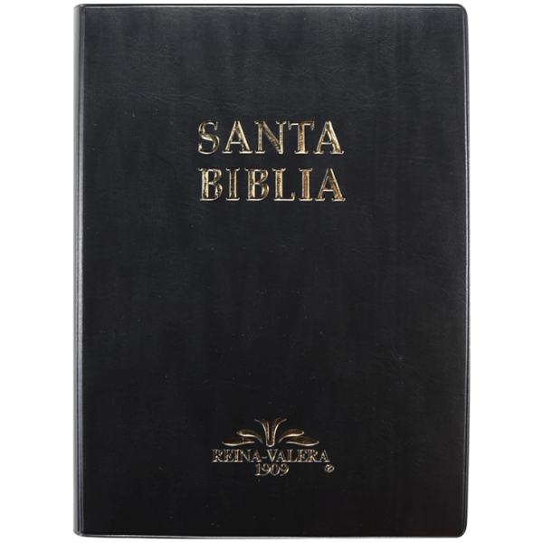 Biblia RV1909 grande negro VR082LM - Image 3