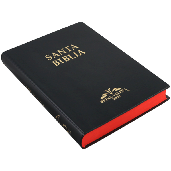 Biblia RV1909 grande negro VR082LM - Image 4