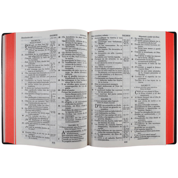 Biblia RV1909 grande negro VR082LM - Image 2