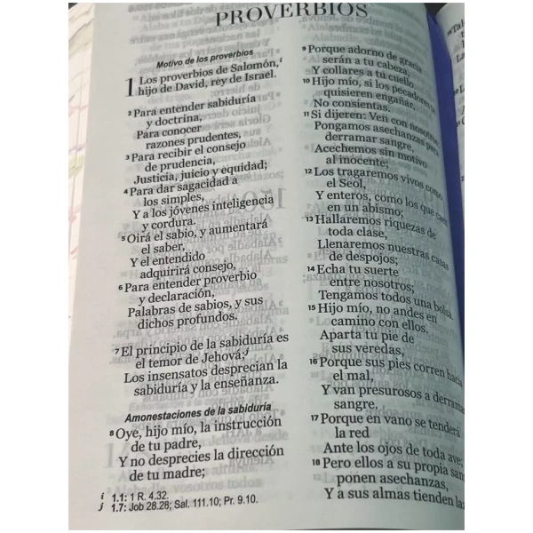 Biblia RVR1960 Primaveral lila claro im piel chica 11pt LG PRJ - Image 6