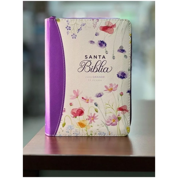 Biblia RVR1960 Primaveral lila oscuro im piel cierre chica 11pt LG PRJ