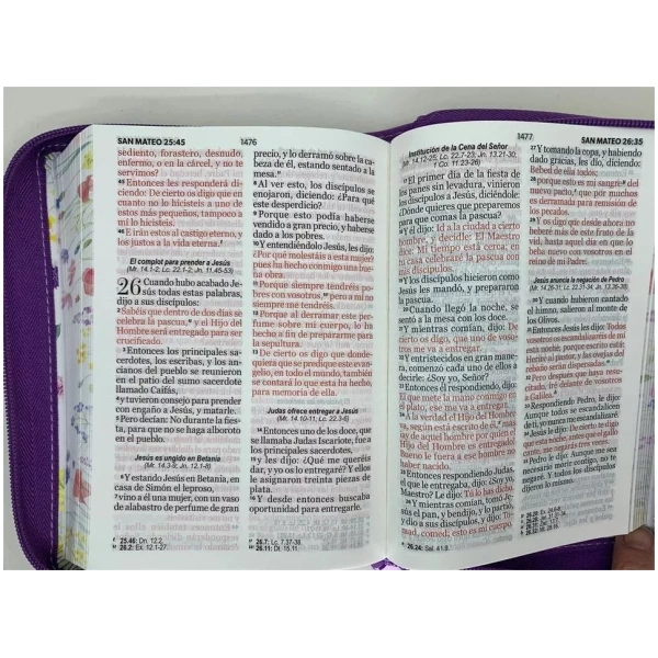 Biblia RVR1960 Primaveral lila oscuro im piel cierre chica 11pt LG PRJ - Image 4
