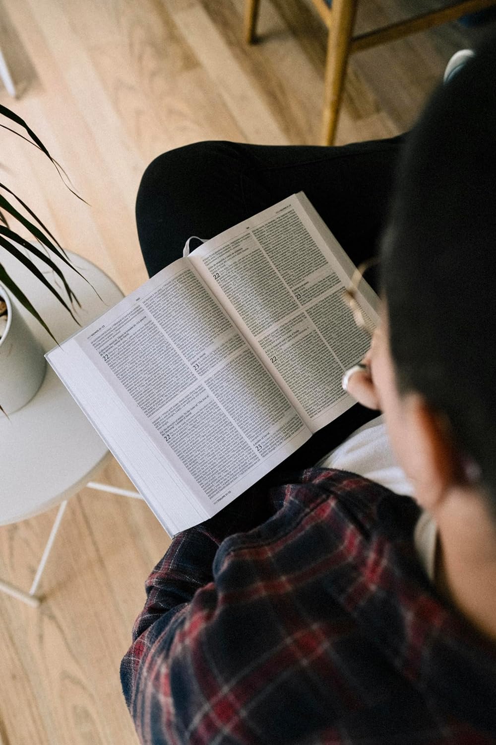 Biblia NVI NIV NBLA NASB Paralela bilingüe TD