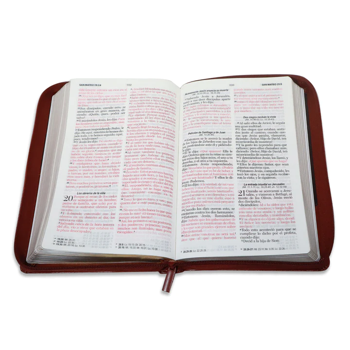 Biblia RVR1960 Clásica bitono marrón cierre manual 12.5P 065PJR vs