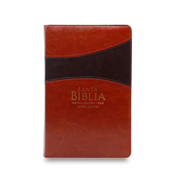 Biblia RVR1960 Clásica bitono marrón cierre manual 12.5P 065PJR vs