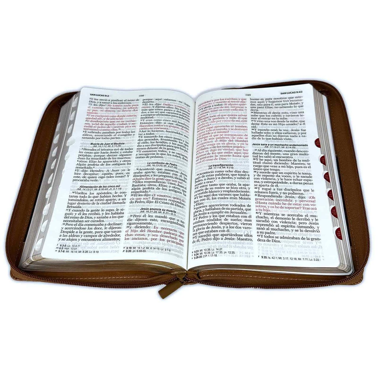 Biblia RVR1960 Excelencia café rect IP cierre índice manual 12.5P 065PJR vs