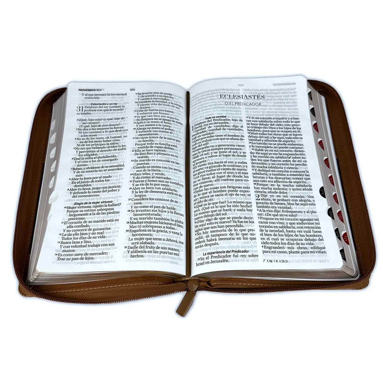 Biblia RVR1960 Excelencia café rect IP cierre índice manual 12.5P 065PJR vs